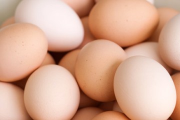 אלרגיים צריכים להימנע גם ממוצרים המכילים מרכיבי ביצים