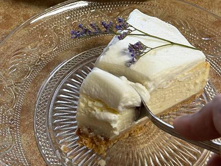 ���� ����� ����� �� ������ ���