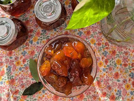 ���� ������ �����