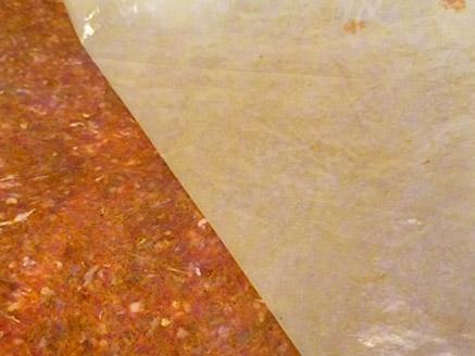 ������� ���� ������ ������ ����