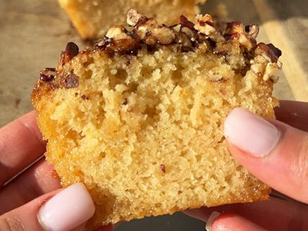 ���� ����� ���� (��� �����)