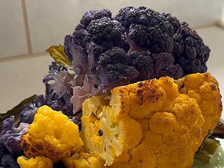 ������ �� ����� ����� �����